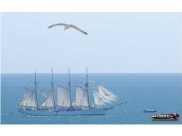 2014 JS Elcano 4 mâts