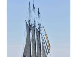 2014 Escale à Sète